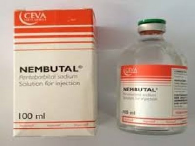 Buy Liquid Nembutals 50ml Online